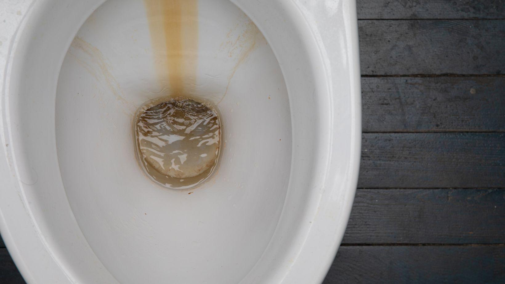 Limescale toilet discount