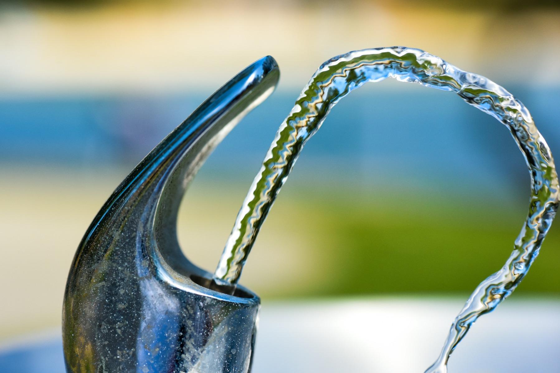 Water fountain tap